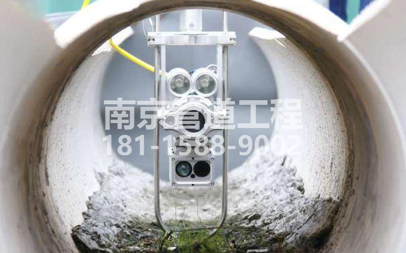 221农科院QV检测